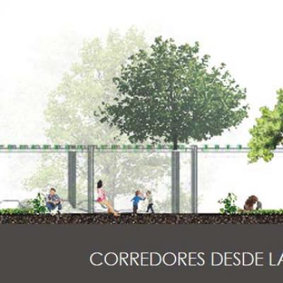 Imagen1